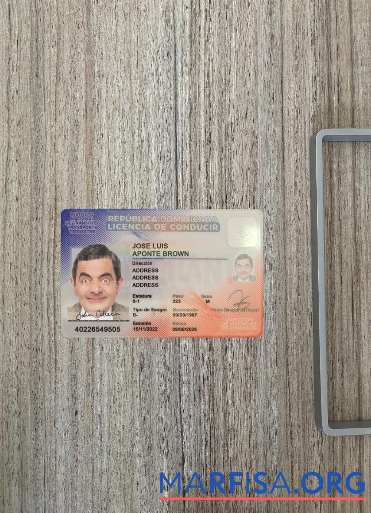 Blank Dominican Republic driving license photolook example